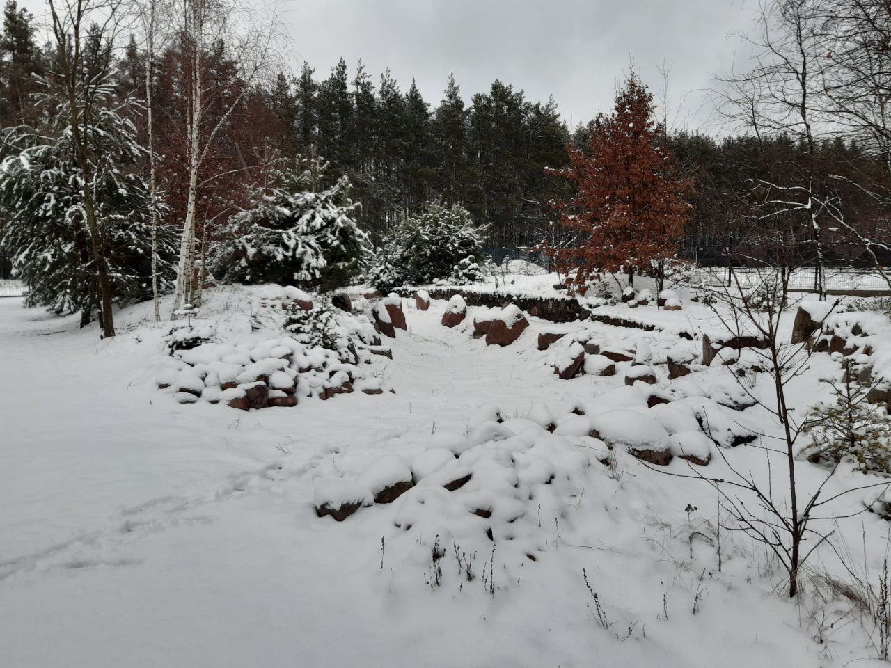 Działka budowlana Podbiel Krupińskie, Sosnowa. Zdjęcie 38