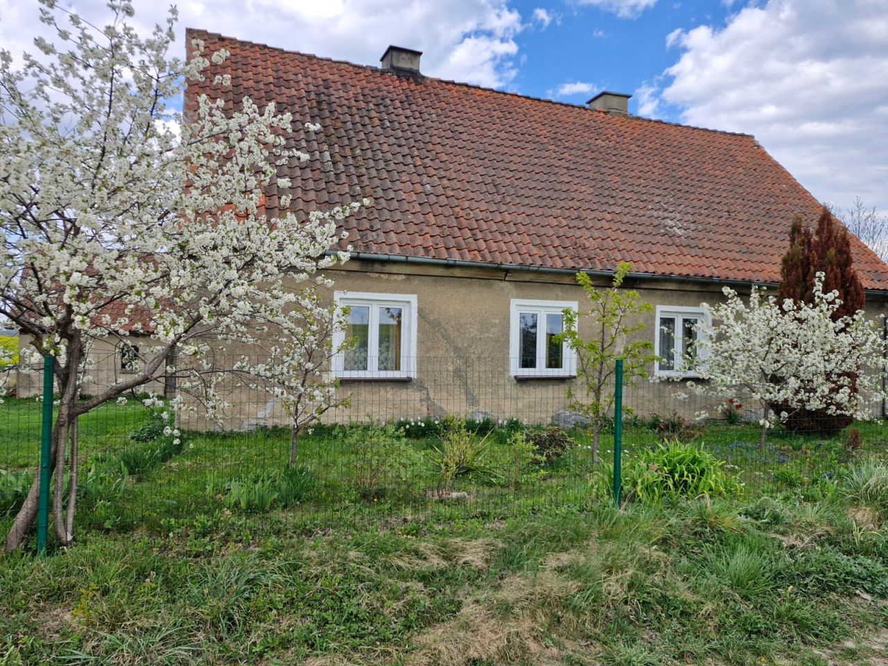 dom wolnostojący, 4 pokoje Paluzy. Zdjęcie 2