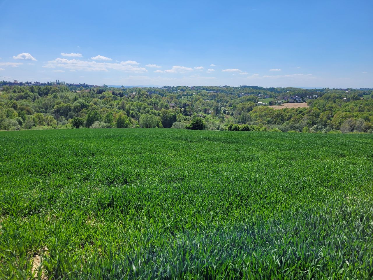 Działka budowlana Ochojno, ul. Gołębia. Zdjęcie 2