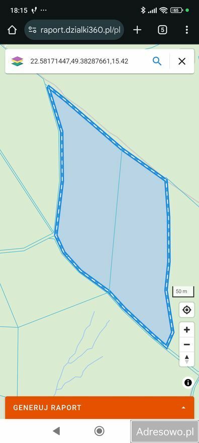 Działka leśna Daszówka. Zdjęcie 6