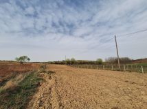 Działka rolno-budowlana Sandomierz Chwałki, ul. Bukowa. Zdjęcie 1