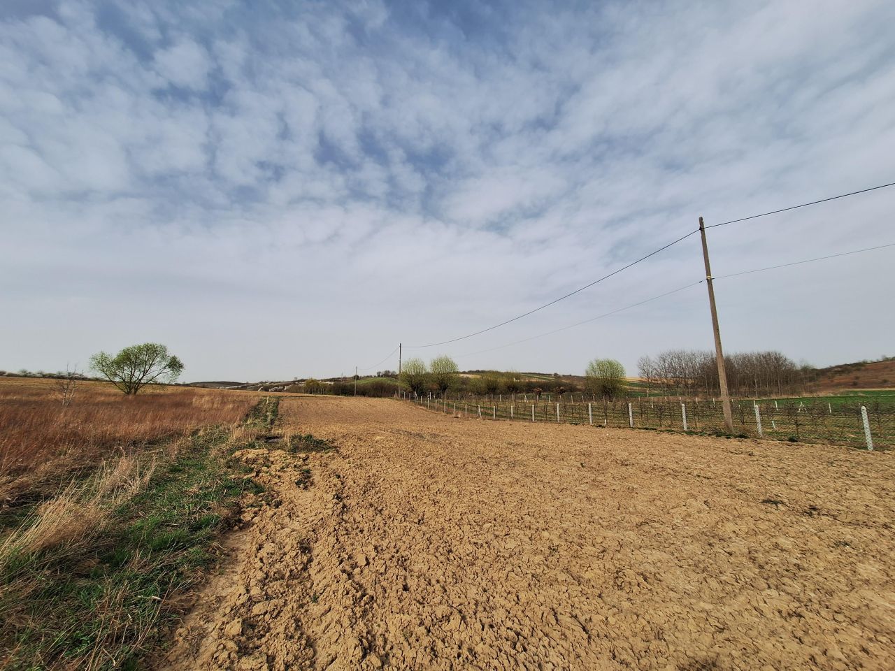 Działka rolno-budowlana Sandomierz Chwałki, ul. Bukowa. Zdjęcie 2