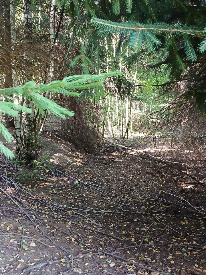 Działka rolno-budowlana Łężyce. Zdjęcie 5