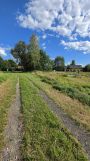 Działka rolno-budowlana Skoczów Dolny Bór, ul. Dolny Bór. Zdjęcie 4