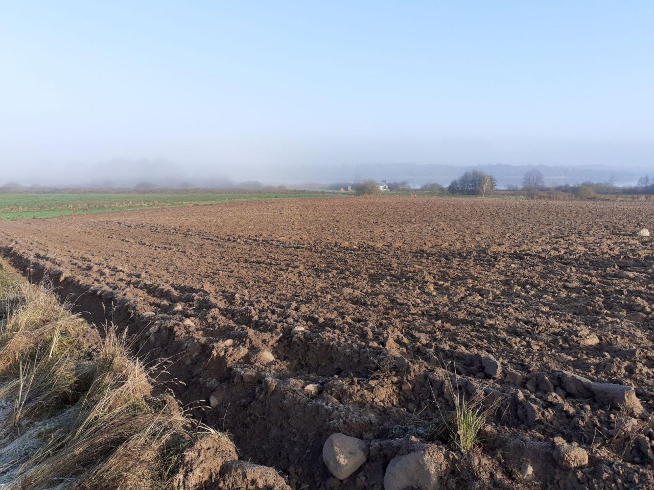 Działka rolna Orzyny. Zdjęcie 7