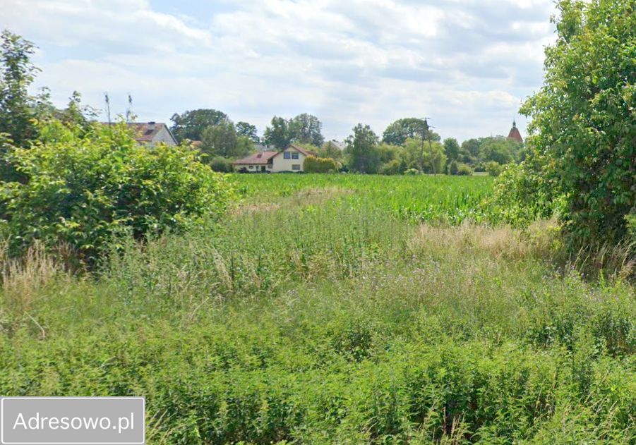 Działka budowlana Borów