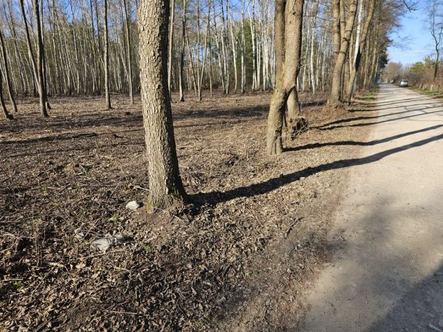 Działka budowlana Żanęcin, ul. Gościniec. Zdjęcie 15