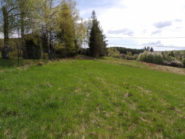 Działka budowlana Wysoka. Zdjęcie 1