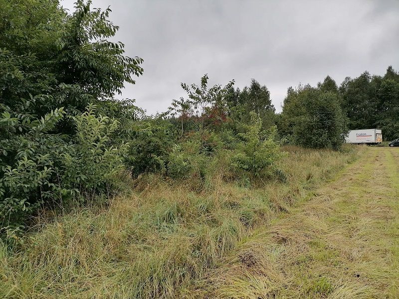 Działka rolno-budowlana Stara Grabownica. Zdjęcie 3