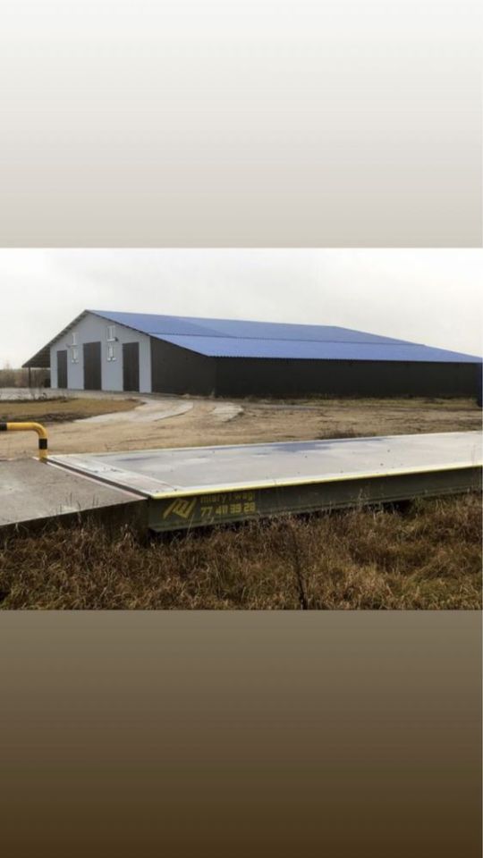 Hala/magazyn Przasnysz