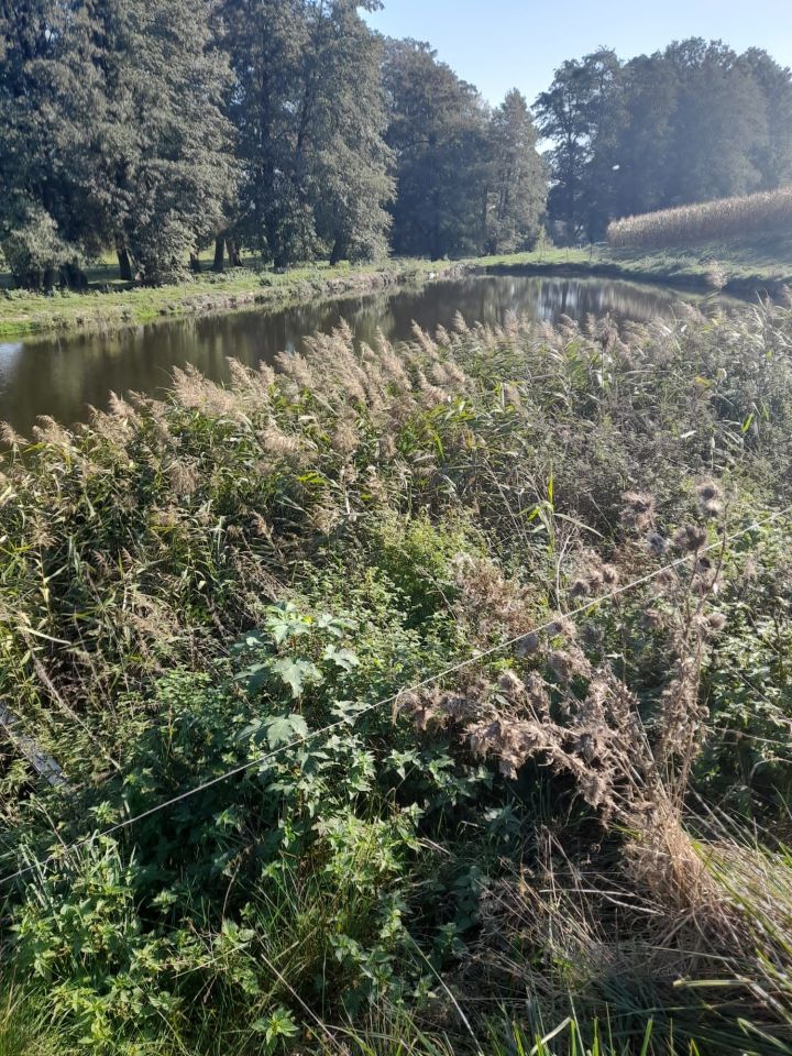 Działka rolna Kotulin. Zdjęcie 3