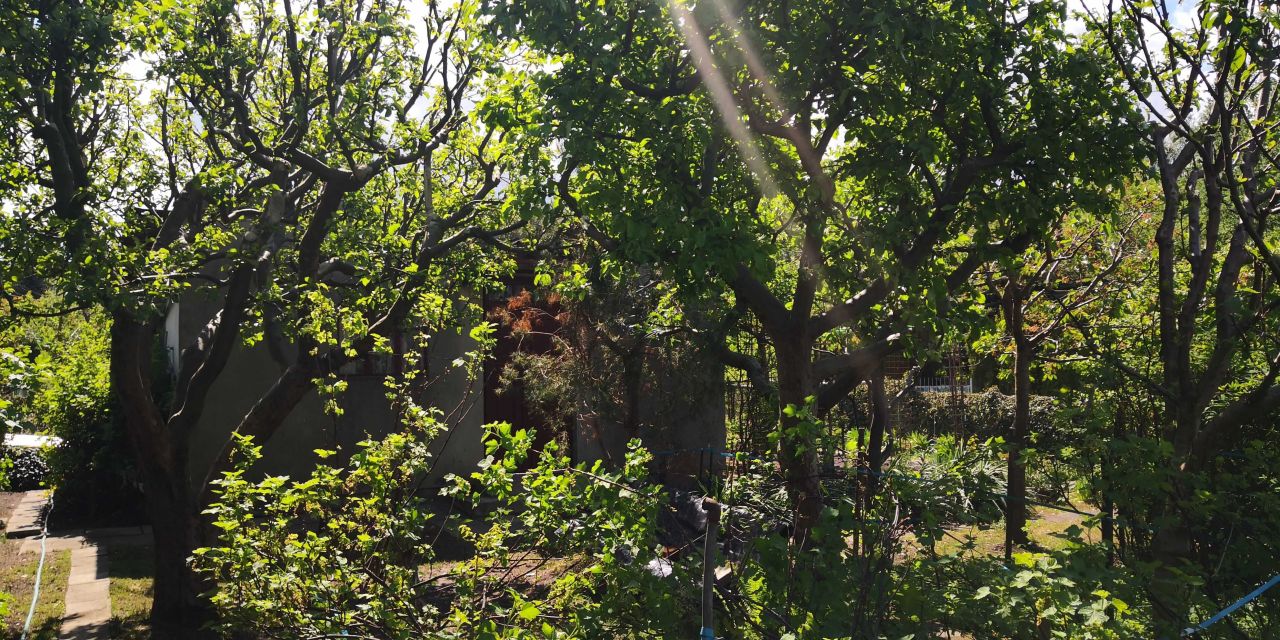 Działka rod Łódź Radogoszcz, ul. Kazimiery i Jana Marczyńskich. Zdjęcie 5