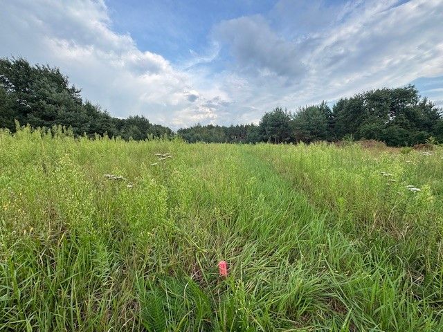 Działka rolno-budowlana Kuligów, ul. Dębinowa. Zdjęcie 6