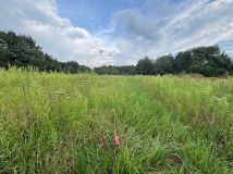 Działka rolno-budowlana Kuligów, ul. Dębinowa. Zdjęcie 4