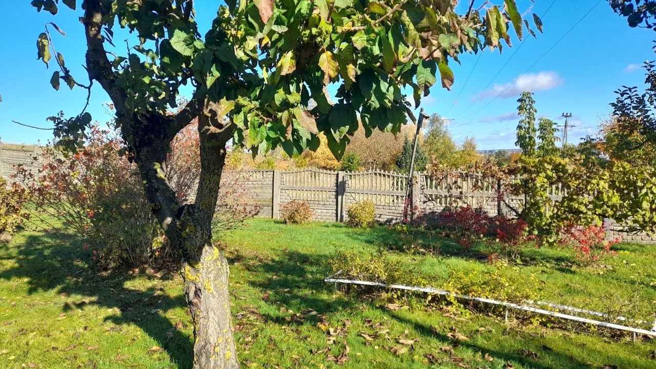 Działka rolna Grajewo, ul. Architektów. Zdjęcie 5