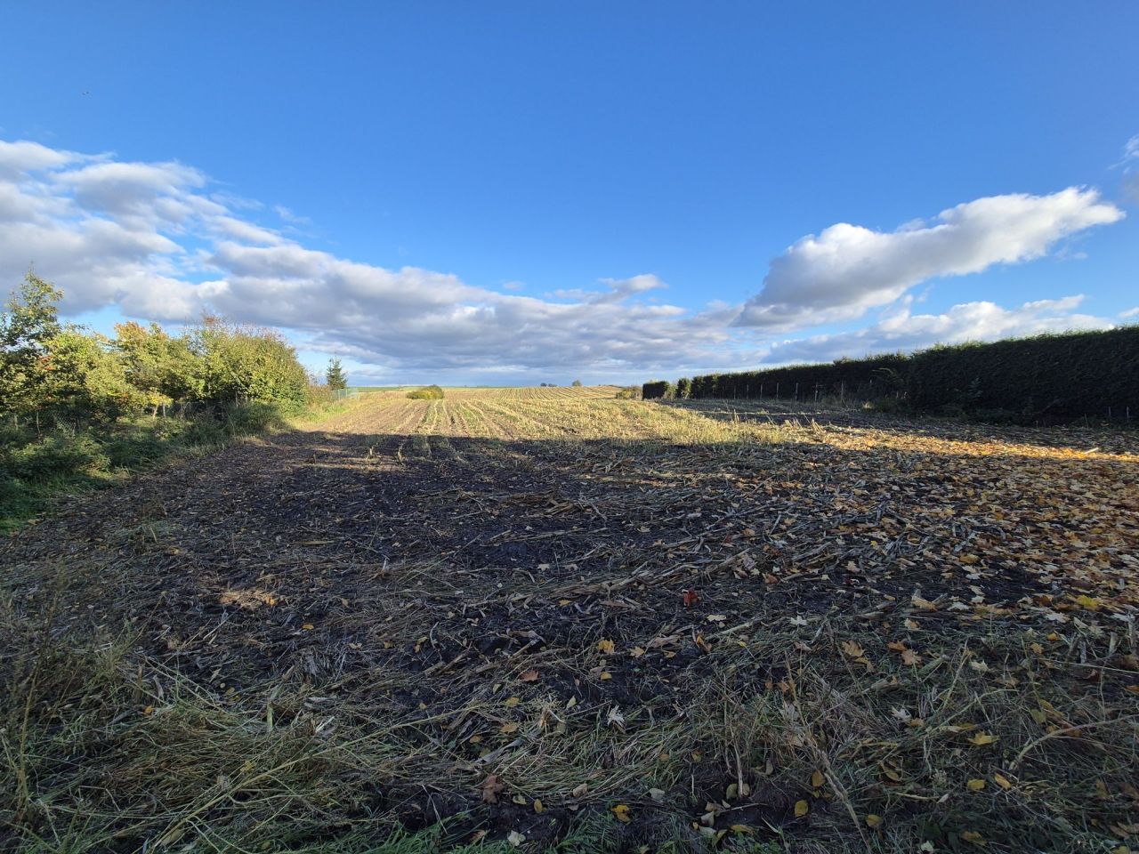 Działka rolno-budowlana Krześnica. Zdjęcie 2