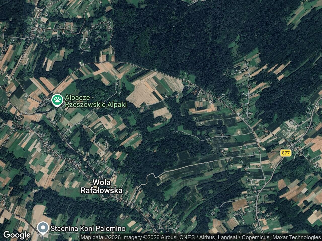 Działka rolno-budowlana Wola Rafałowska Michałki, Wola Rafalowska. Zdjęcie 1