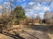 Działka budowlana Budy-Grzybek, ul. Potockiego. Zdjęcie 2