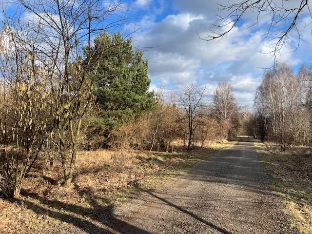 Działka budowlana Budy-Grzybek, ul. Potockiego. Zdjęcie 3