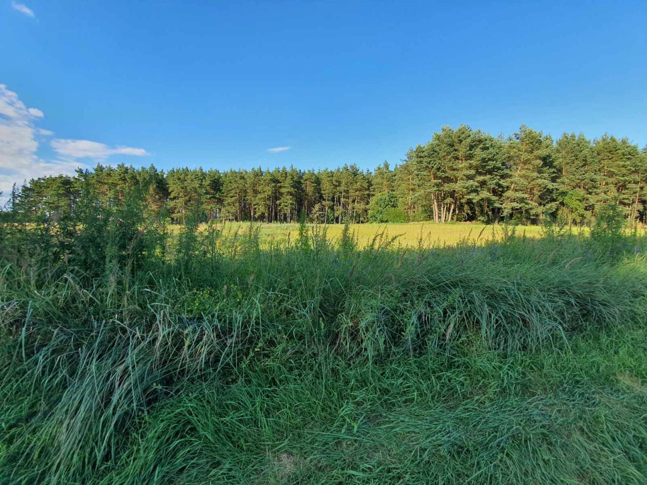 Działka budowlana Gorczeniczka. Zdjęcie 10