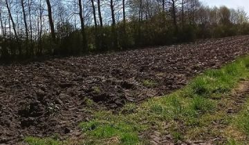 Działka budowlana Aleksandrów Łódzki, ul. Wincentego Witosa