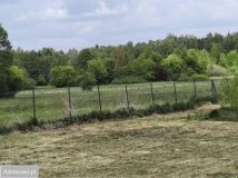 Działka rolno-budowlana Zalesiczki. Zdjęcie 2