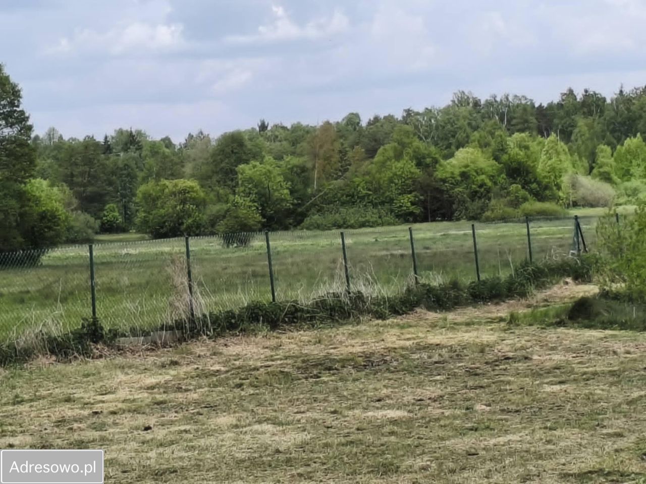 Działka rolno-budowlana Zalesiczki. Zdjęcie 3