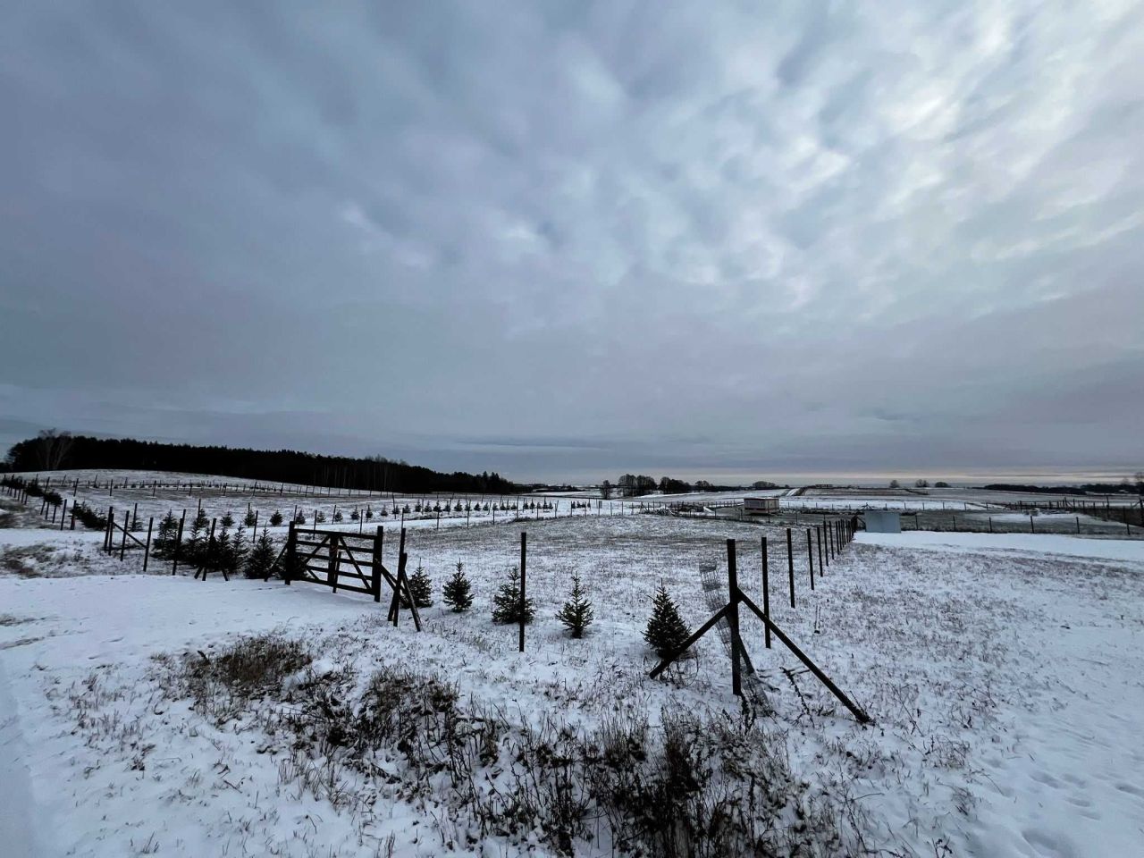 Działka rolno-budowlana Orzechowo. Zdjęcie 8