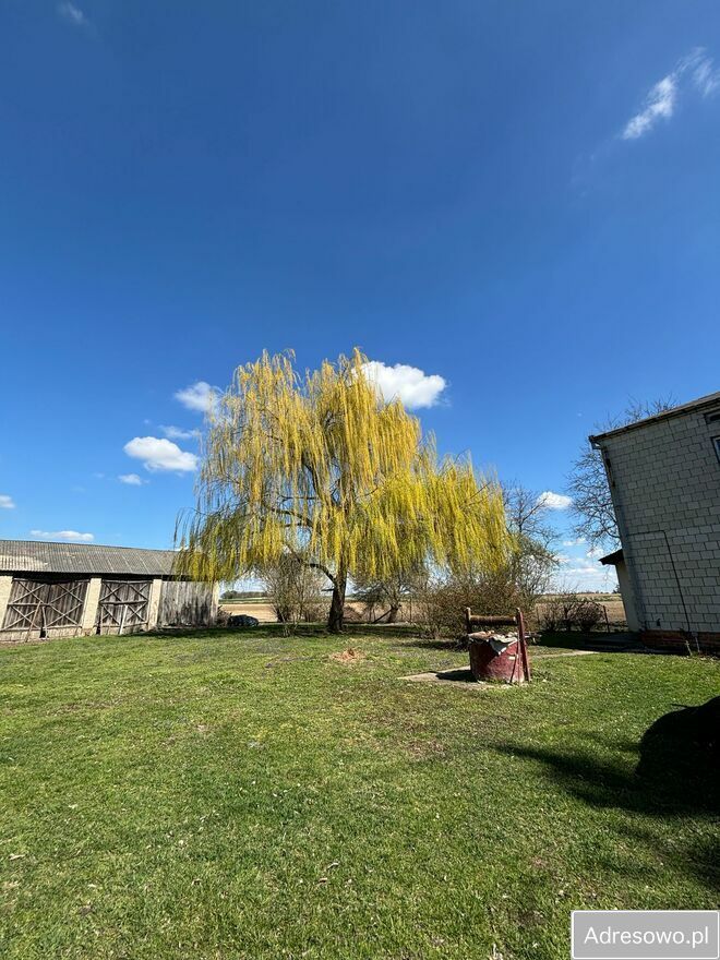 dom wolnostojący, 5 pokoi Małków-Kolonia. Zdjęcie 6