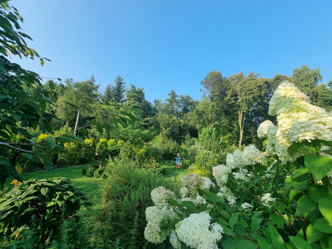 budynek wielorodzinny, 6 pokoi Sterkowiec, Sosnowa. Zdjęcie 10