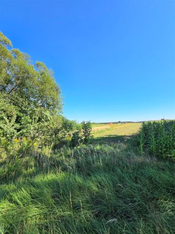 Działka budowlana Międzyrzecze. Zdjęcie 1