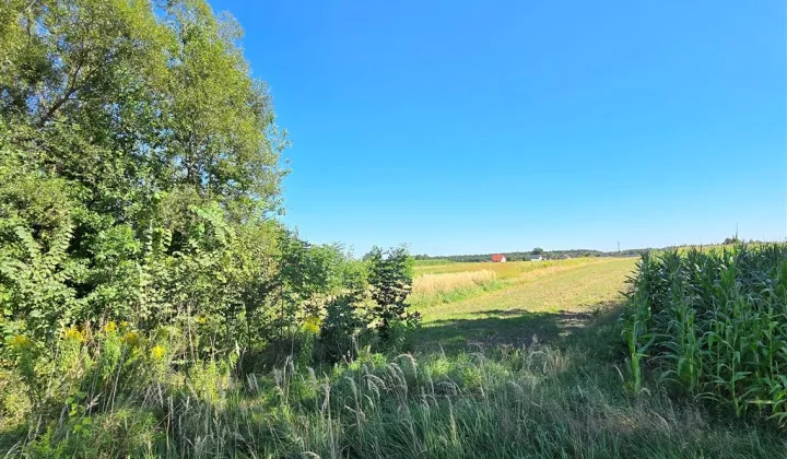 Działka budowlana Bojszowy