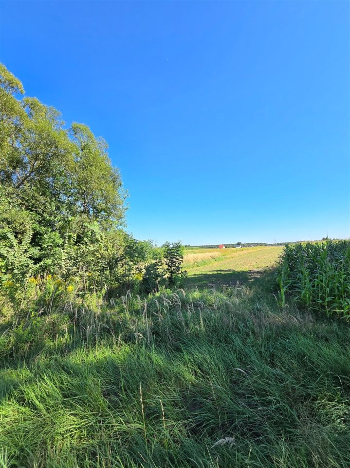 Działka budowlana Międzyrzecze. Zdjęcie 1