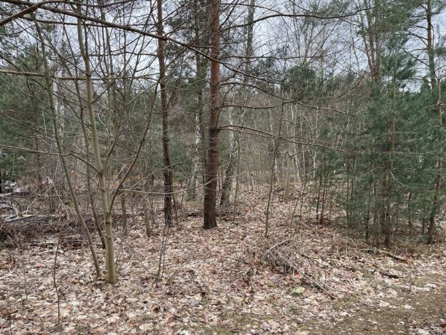 Działka budowlana Urzut, ul. Chabrowa. Zdjęcie 1