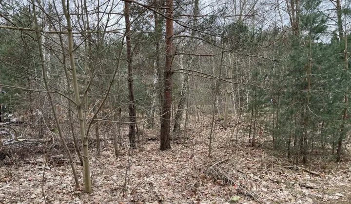 Działka budowlana Urzut, ul. Chabrowa