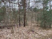 Działka budowlana Urzut, ul. Chabrowa