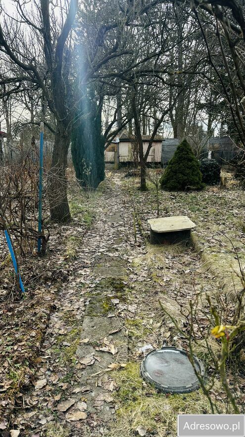 Działka rod Poznań Wilda, ul. Wspólna. Zdjęcie 1