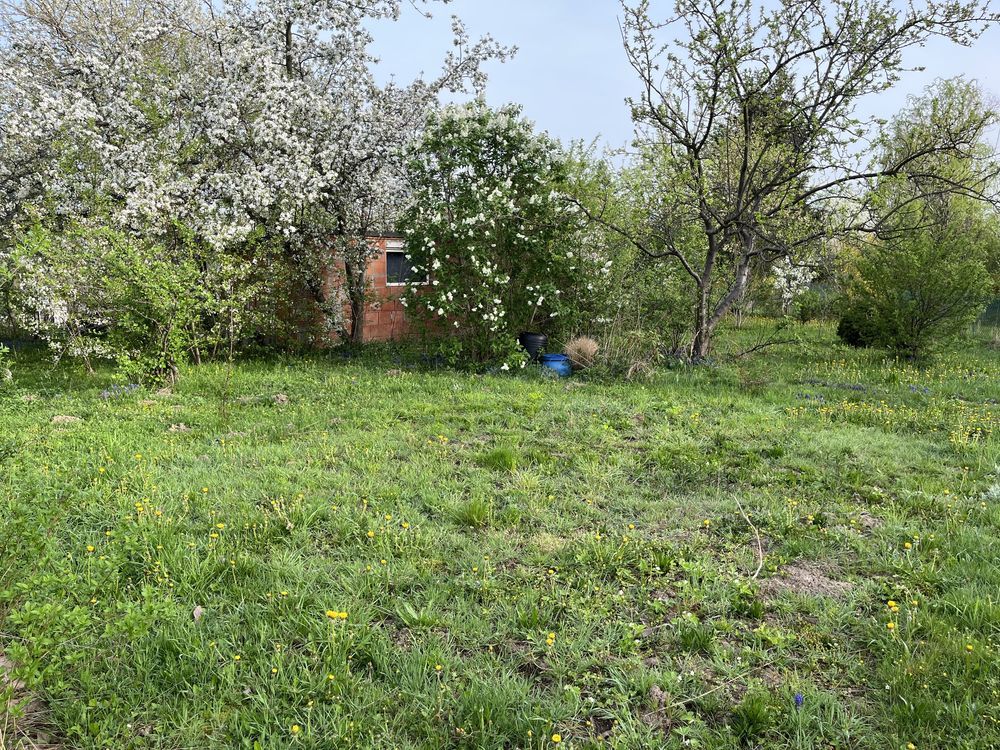 Działka rekreacyjna Świdnica, ul. Bystrzycka