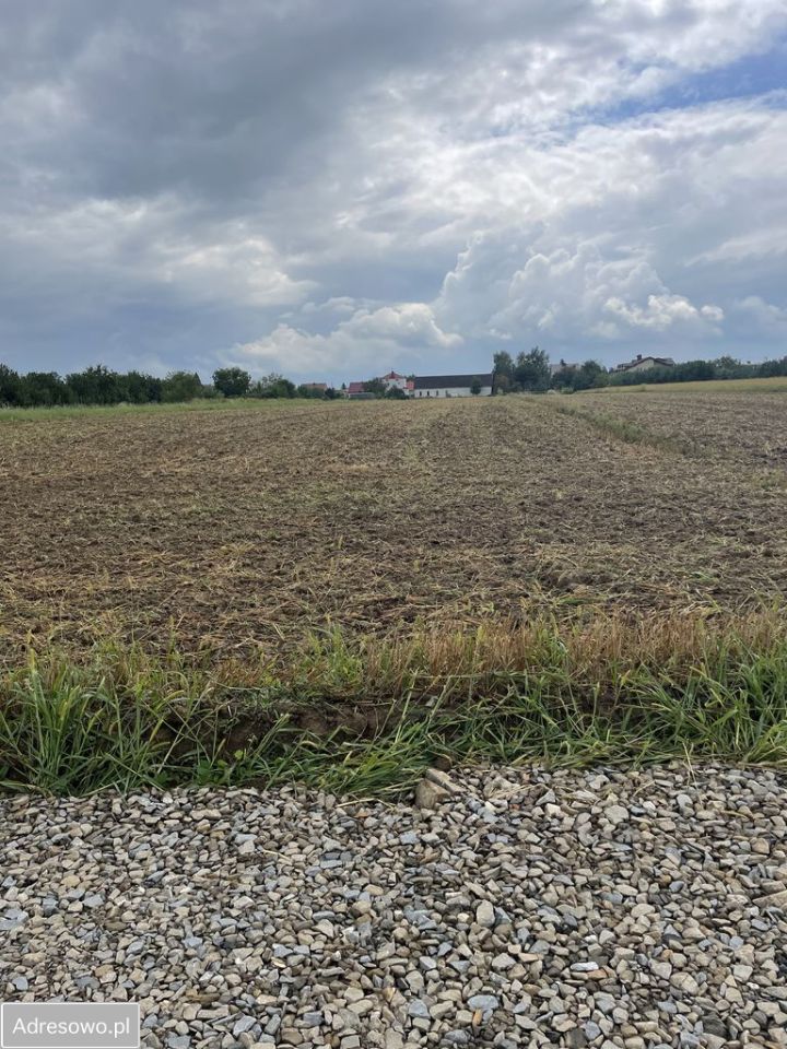 Działka rolno-budowlana Wierzchosławice. Zdjęcie 3