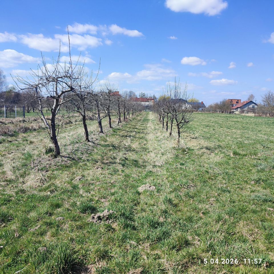 dom wolnostojący, 3 pokoje Bodzechów, ul. Żurawia. Zdjęcie 21