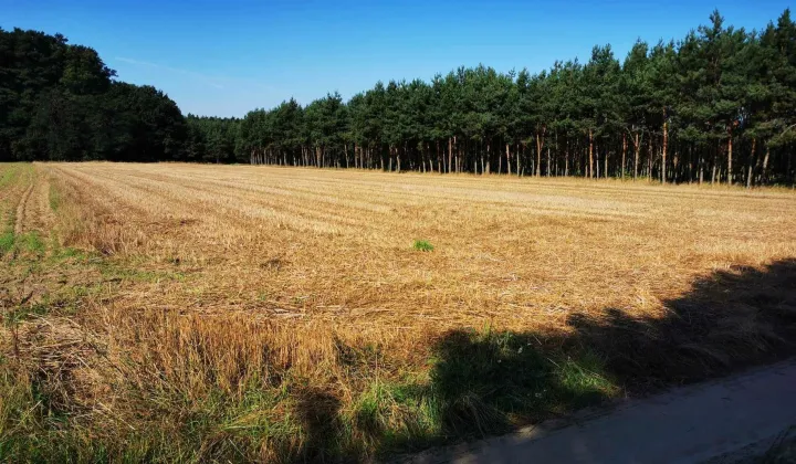Działka siedliskowa Żegrówko