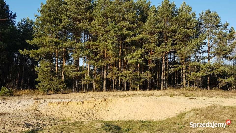 Działka rekreacyjna Drużykowa. Zdjęcie 2