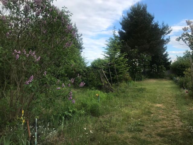 Działka rekreacyjna Wrocław, ul. Terenowa. Zdjęcie 1