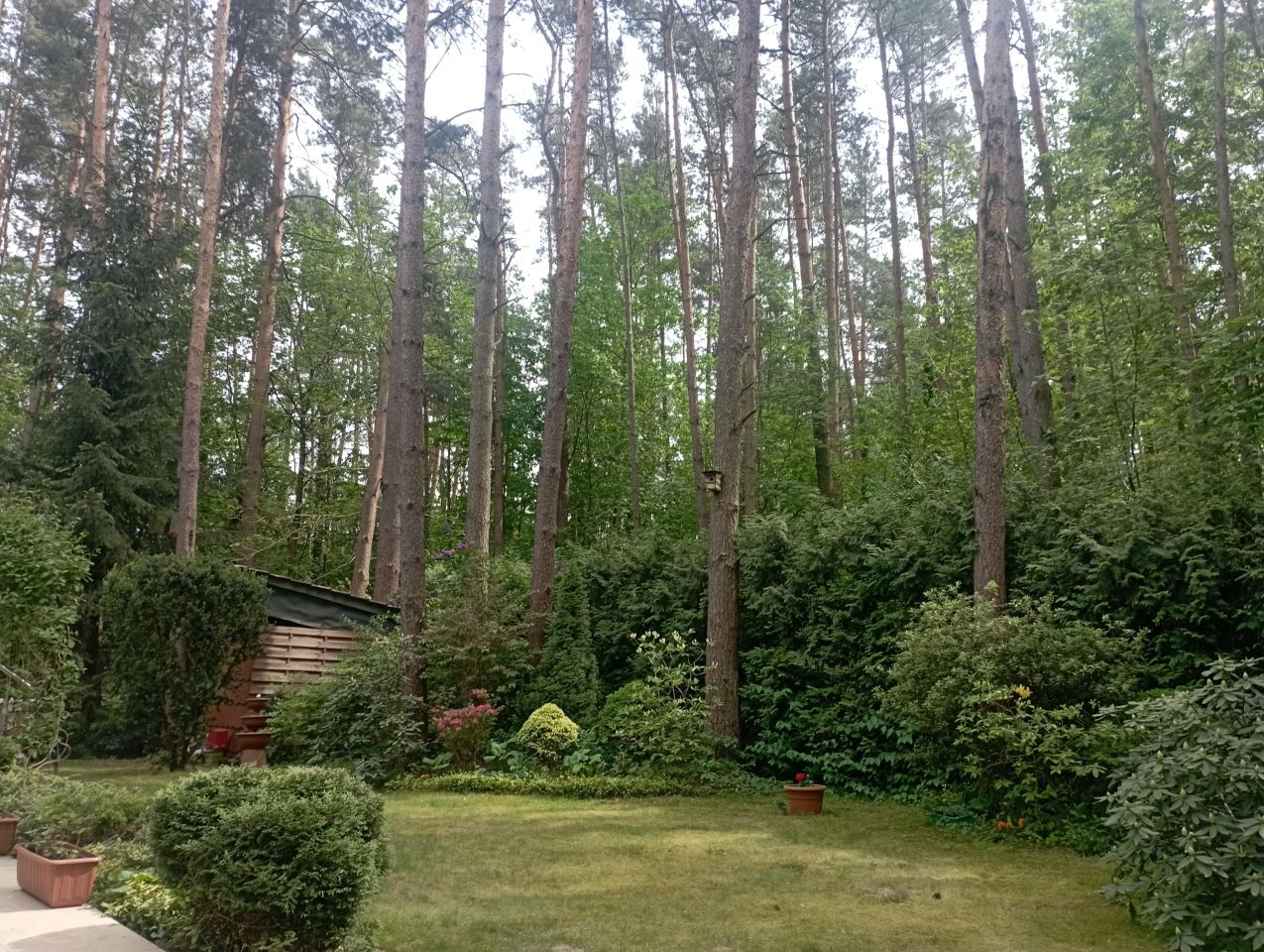 dom wolnostojący, 5 pokoi Adamów-Wieś, ul. Malinowa. Zdjęcie 2