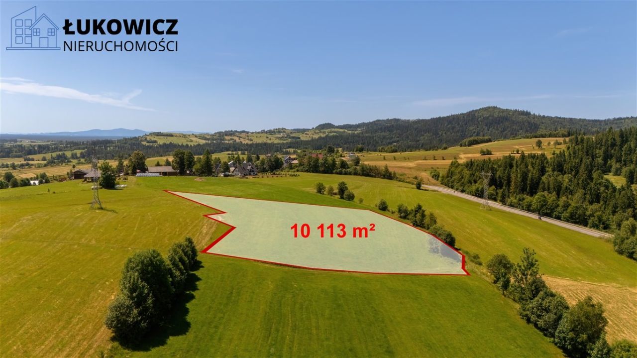 Działka leśna Pieniążkowice. Zdjęcie 20