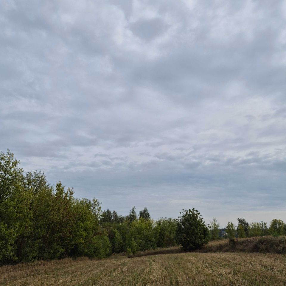 Działka rolna Szwarszowice. Zdjęcie 5