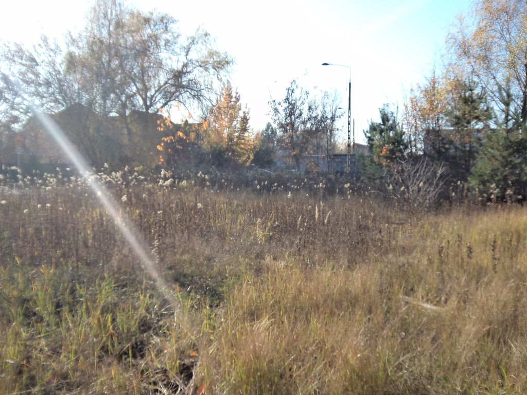 Działka budowlana Warszawa Wawer, ul. Cylichowska. Zdjęcie 5