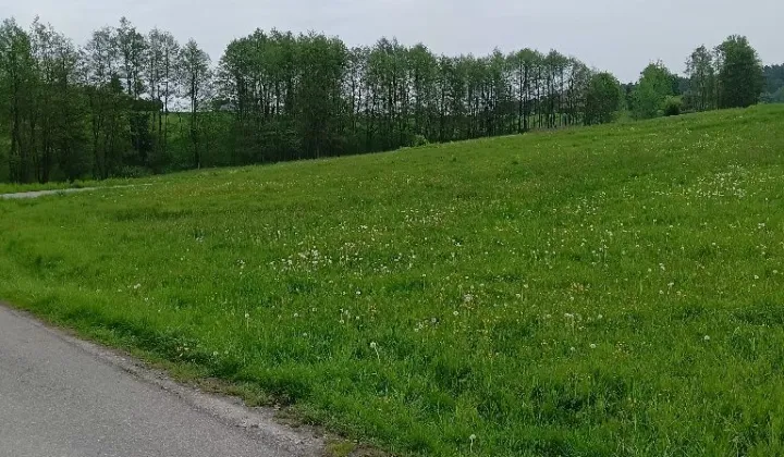 Działka budowlana Łazy
