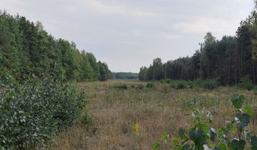 Działka rolno-budowlana Borowiec, ul. Kubusia Puchatka