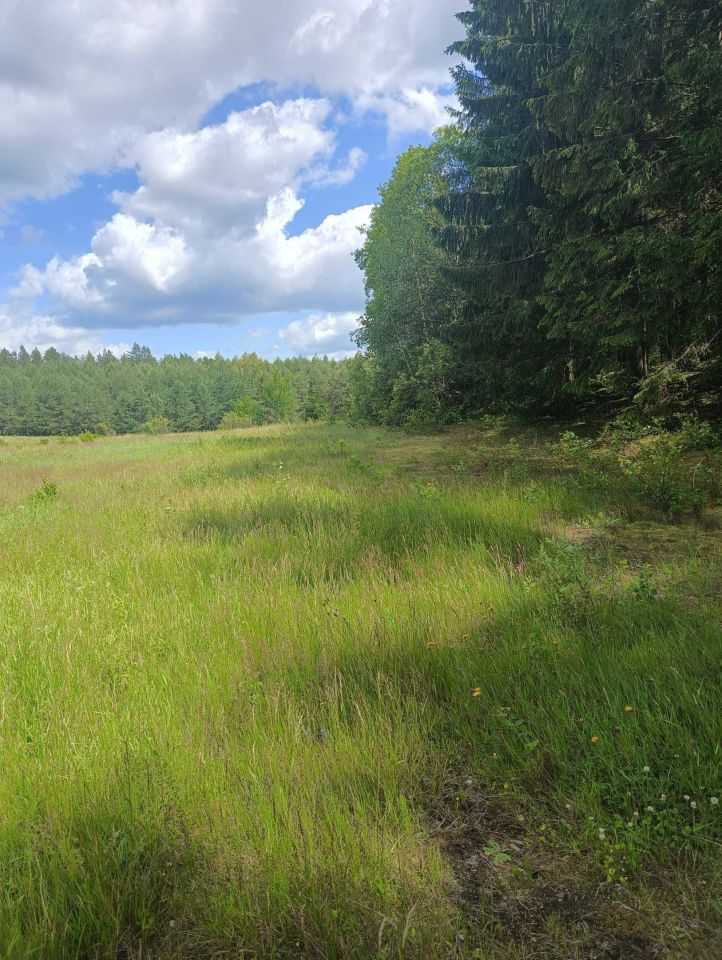Działka budowlana Ratowiec. Zdjęcie 3